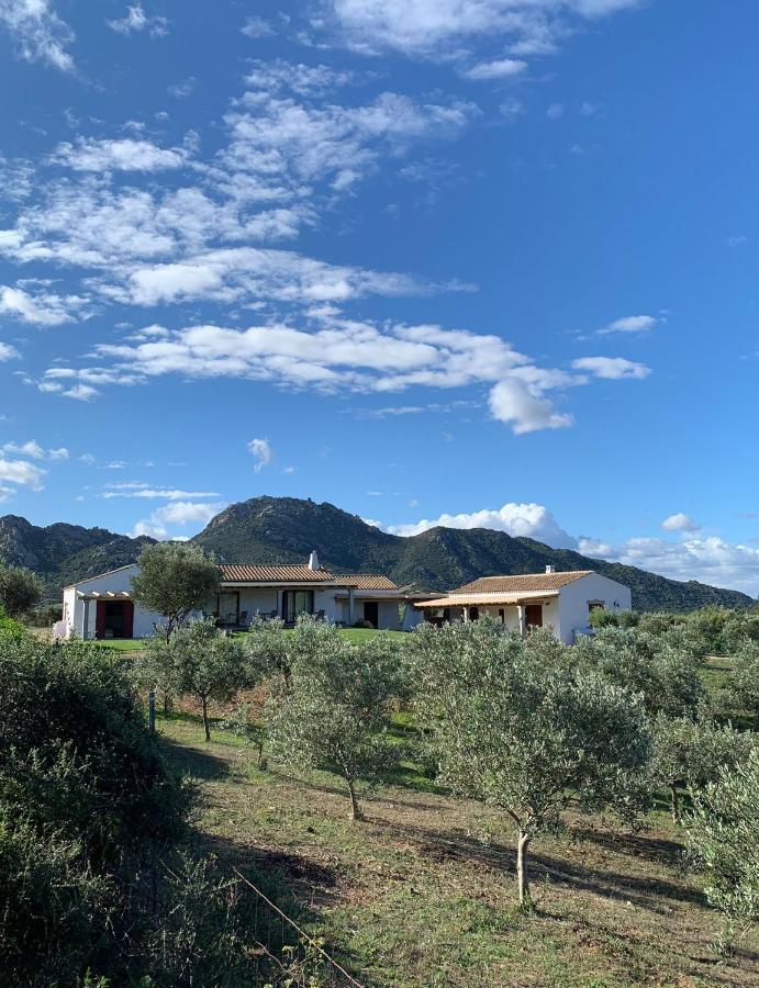 Macciuneddu Country Retreat Golfo Aranci Buitenkant foto