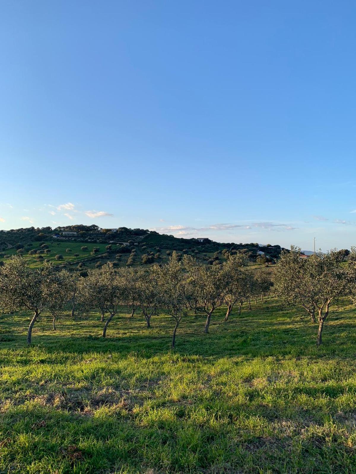 Macciuneddu Country Retreat Golfo Aranci Buitenkant foto